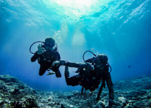 Learn to Dive
